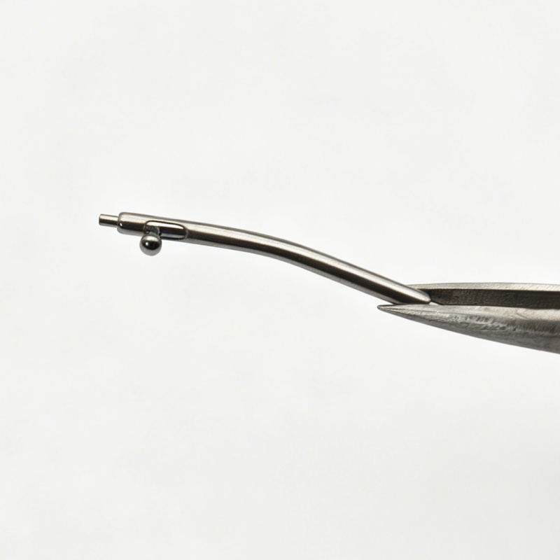 Parti di ricambio per orologi: - Curved Spring Bar recensione e prezzo